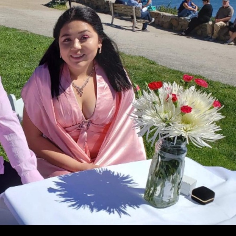 Elegant Silk pink dress